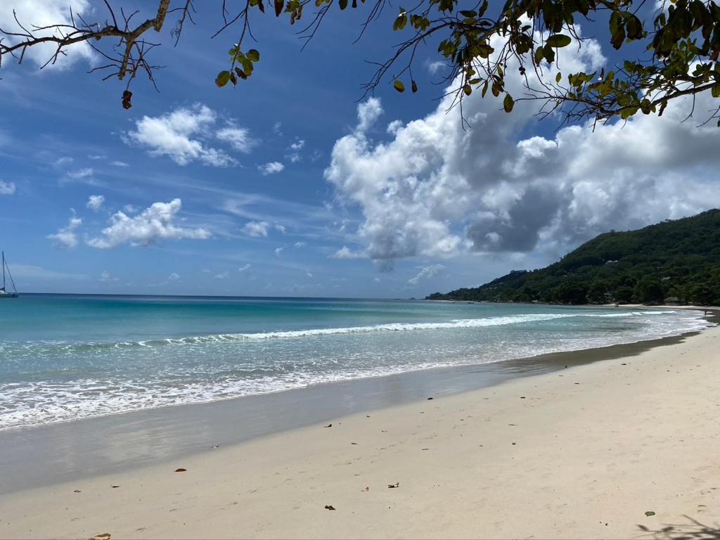 Apartament Beau Bamboo Beau Vallon  Zewnętrze zdjęcie